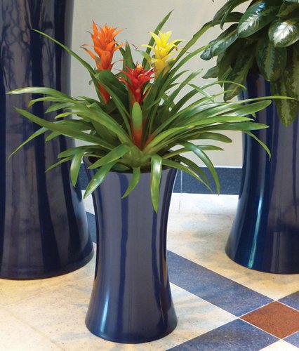 Symmetry Cylinder and Tall Cylinder Cluster in Dark Sapphire with Bromeliads